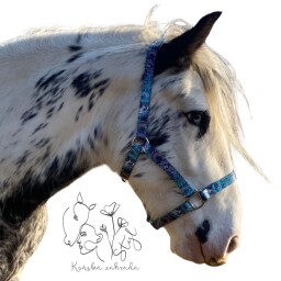 Ohlávka Síla pouště FULL